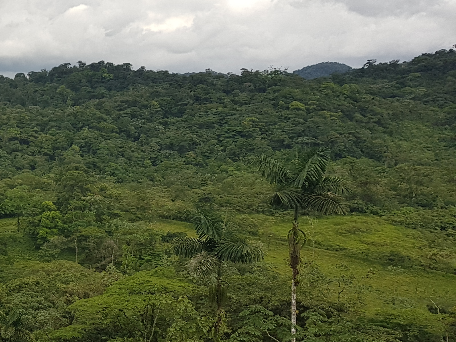 Vista general de la finca 1