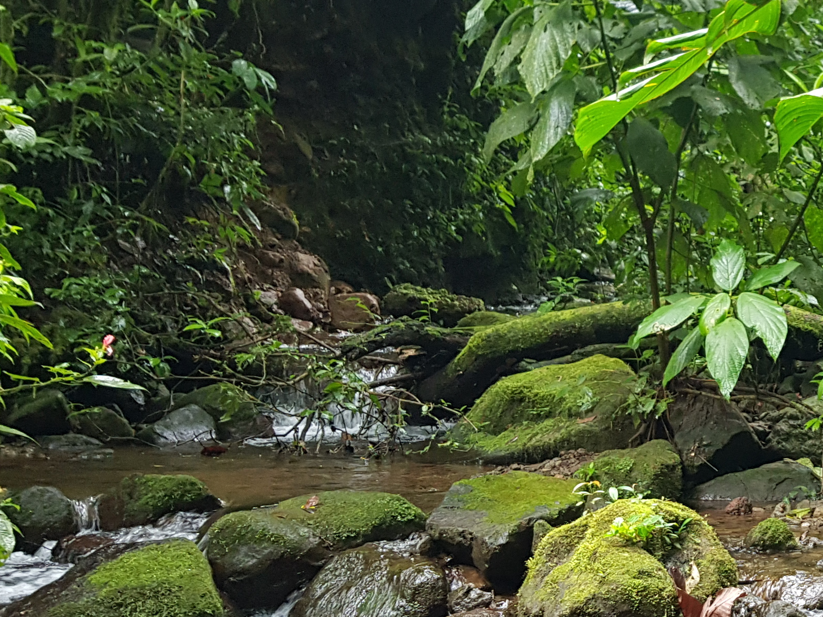 Vista general de la Finca La Esperanza
