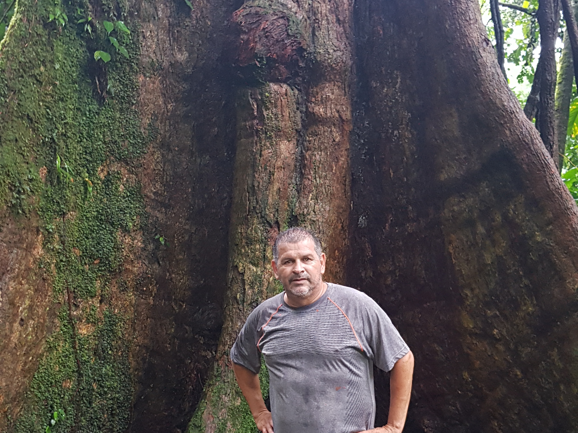 Vista general de la Finca Los Tucanes