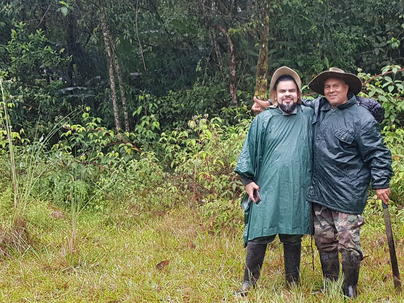 Vista general de la Finca Oro