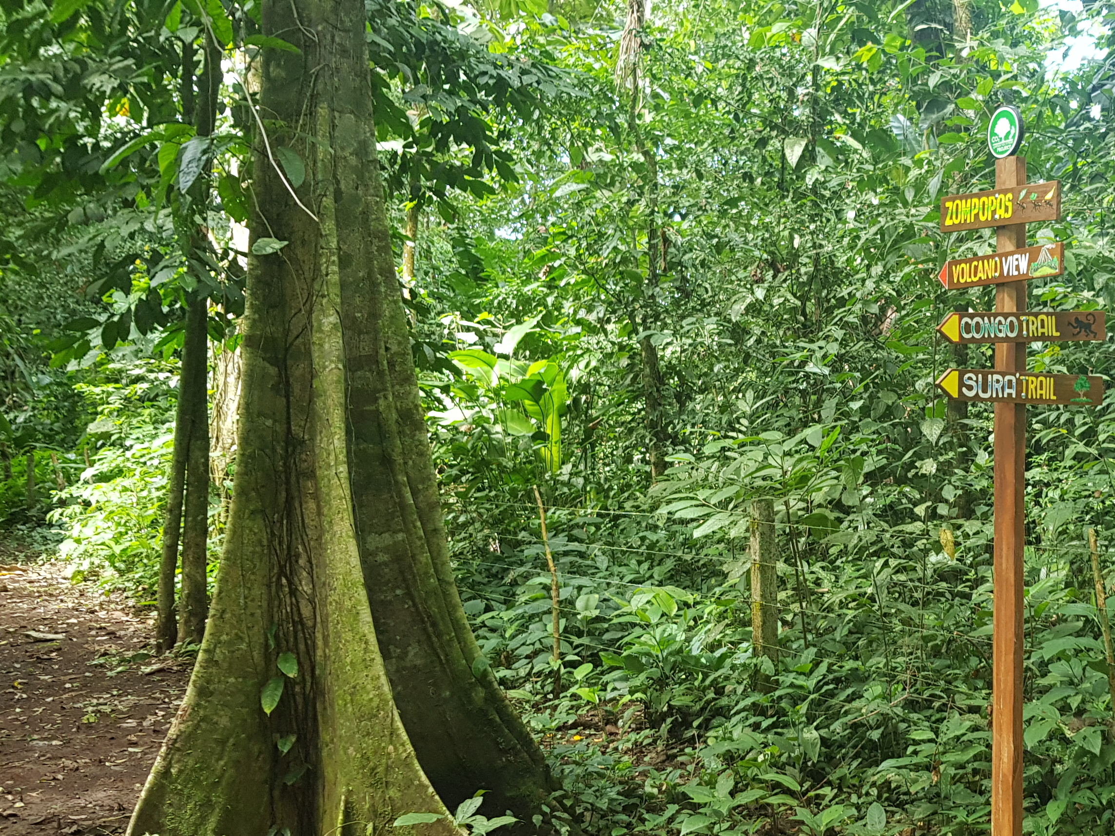 Vista de la Finca Sanbuena Aventura