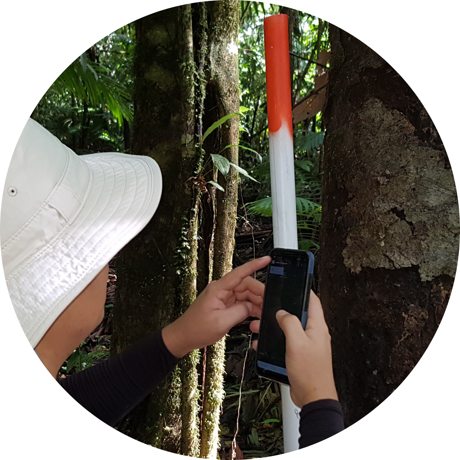 Servicios Ambientales